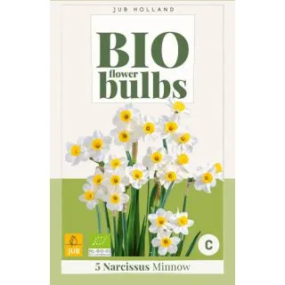 Compra NARCISOS MINNOW BIO en la tienda online Fito Agrícola