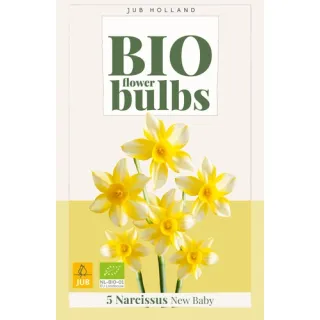 Compra NARCISOS NEW BABY BIO en la tienda online Fito Agrícola
