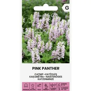 Compra NEPETA PINK PANTHER (30 Semillas) en la tienda online Fito Agrícola
