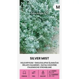 Compra NIEBLA PLATEADA (6 Semillas). en la tienda online Fito Agrícola