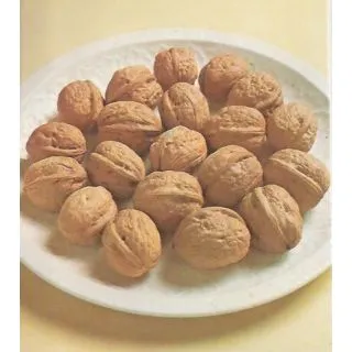 Compra NOGAL COMUN en la tienda online Fito Agrícola