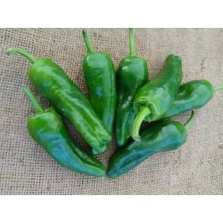 Compra PIMIENTO MÚXIA F-1 (1.000 Semillas). en la tienda online Fito Agrícola