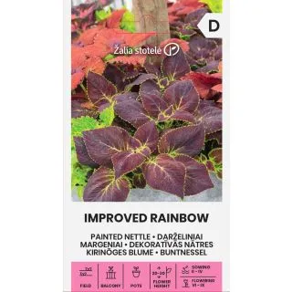 Compra COLEOS DE HOJA OSCURA IMPROVED (0,1 gr. - Cerca de 350 Semillas). en la tienda online Fito Agrícola