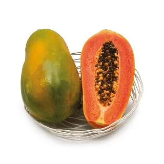 Compra PAPAYA CUMBIA F1 (1000 Semillas) en la tienda online Fito Agrícola