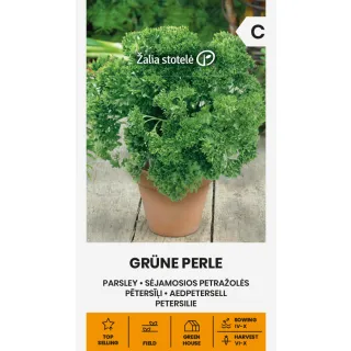 Compra PEREJIL VERDE PERLA (3 gr. - Cerca de 1500 Semillas). en la tienda online Fito Agrícola