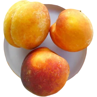 Compra MELOCOTONERO MIRAFLORES en la tienda online Fito Agrícola