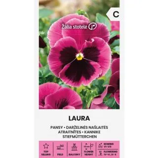 Compra PENSAMIENTO LAURA (0,3 gr. - Cerca de 225 Semillas). en la tienda online Fito Agrícola