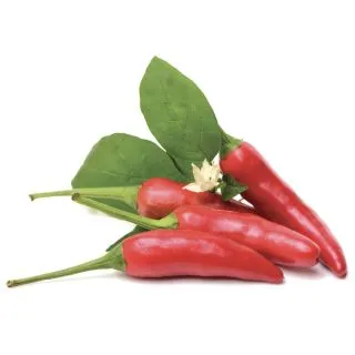 Compra PIMIENTO DIAVOLICCHIO CALABRESE F1 (1.000 Semillas) en la tienda online Fito Agrícola
