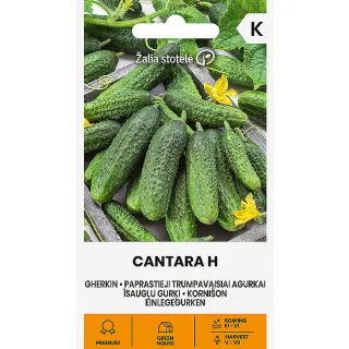 Compra PEPINILLO CANTARA F1 (0,4 gr. - Cerca de 16 Semillas). en la tienda online Fito Agrícola