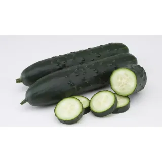 Compra PEPINO CAPELE F1 (1.000 Semillas) en la tienda online Fito Agrícola