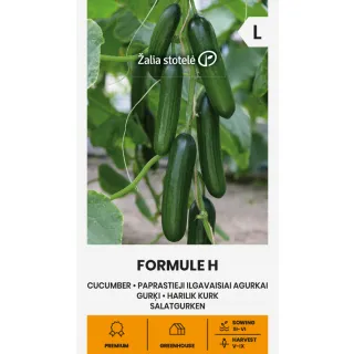Compra PEPINO FORMULE F1 (0,3 gr. - Cerca de 10 Semillas). en la tienda online Fito Agrícola