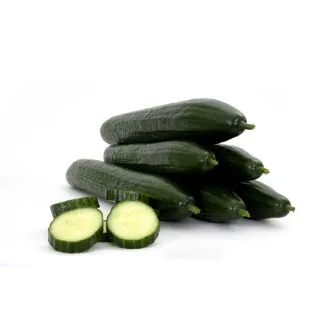 Compra PEPINO PONTIUS F1 (1.000 Semillas) en la tienda online Fito Agrícola