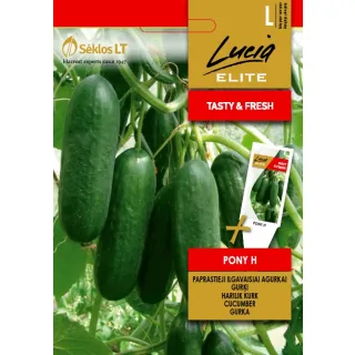 Compra PEPINO PONY F1 (10 Semillas). en la tienda online Fito Agrícola