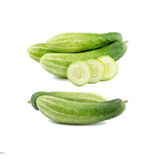 Compra PEPINO SENATOR F1 (1.000 Semillas) en la tienda online Fito Agrícola