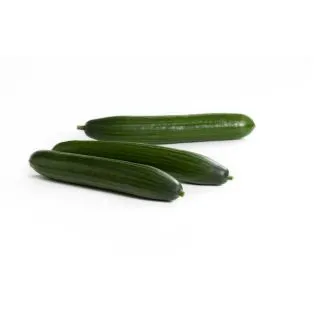 Compra PEPINO TRUENO RZ F1 Precisión (1000 Semillas). en la tienda online Fito Agrícola