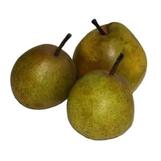 Compra PERAL PASSA CRASSANA en la tienda online Fito Agrícola