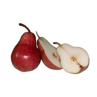 Compra PERAL BARLET en la tienda online Fito Agrícola