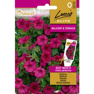 Compra PETUNIA EASY WAVE PLUM VEIN IMPROVED F1 (6 Semillas). en la tienda online Fito Agrícola