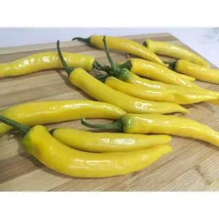 Compra PIMIENTO GUALDA F-1 (1.000 Semillas). en la tienda online Fito Agrícola