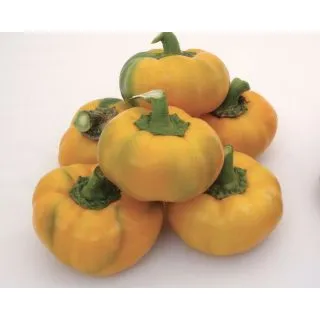 Compra PIMIENTO TOPEPO GIALLO (ÑORA) (1.000 Semillas) en la tienda online Fito Agrícola