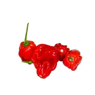 Compra PIMIENTO ANCHI F1 (1.000 Semillas) en la tienda online Fito Agrícola