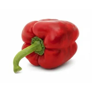 Compra PIMIENTO BRASERO F1 (1.000 Semillas). en la tienda online Fito Agrícola