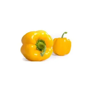 Compra PIMIENTO CHARANGA RZ F1 Precisión (1000 semillas). en la tienda online Fito Agrícola