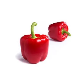 Compra PIMIENTO CLAQUE RZ F1 Precisión (1000 semillas). en la tienda online Fito Agrícola