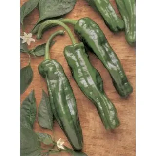 Compra PIMIENTO CRISTAL CHORICERO (Seco) (25 gr.). en la tienda online Fito Agrícola