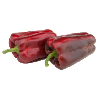 Compra PIMIENTO DIESTRO F1 (1000 Semillas) en la tienda online Fito Agrícola