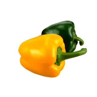 Compra PIMIENTO DORATELLO F1 (1000 Semillas) en la tienda online Fito Agrícola