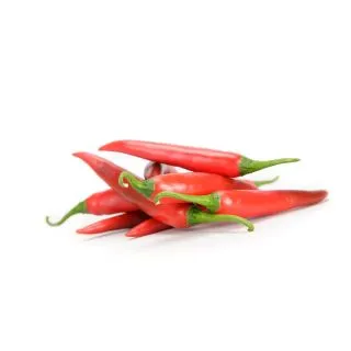 Compra PIMIENTO EREBUS RZ F1 Precisión (1000 Semillas). en la tienda online Fito Agrícola