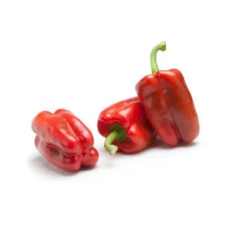 Compra PIMIENTO ESCOTA RZ F1 Precisión (1.000 Semillas). en la tienda online Fito Agrícola