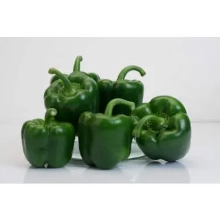 Compra PIMIENTO ESPINOSA F-1 (1.000 Semillas). en la tienda online Fito Agrícola