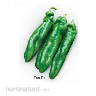 Compra PIMIENTO FAN F-1 (1.000 Semillas) en la tienda online Fito Agrícola