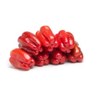 Compra PIMIENTO FRAGATA RZ F1 Precisión (1000 Semillas). en la tienda online Fito Agrícola