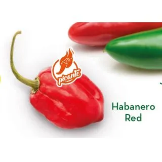 Compra PIMIENTO HABANERO RED (1.000 Semillas). en la tienda online Fito Agrícola
