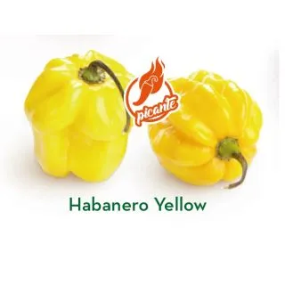 Compra PIMIENTO HABANERO YELLOW (1.000 Semillas). en la tienda online Fito Agrícola