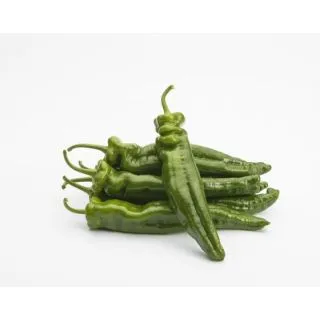 Compra PIMIENTO BERENGUEL F1 (1000 Semillas) en la tienda online Fito Agrícola