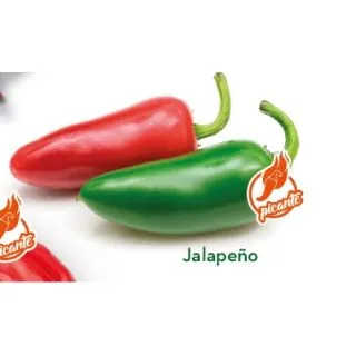 Compra PIMIENTO JALAPEÑO (1.000 Semillas). en la tienda online Fito Agrícola
