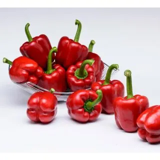 Compra PIMIENTO JUMA F1 (1.000 Semillas). en la tienda online Fito Agrícola