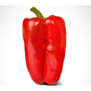 Compra PIMIENTO LOBON F1 (1000 Semillas) en la tienda online Fito Agrícola