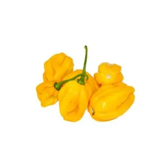 Compra PIMIENTO MEIKA F1 (1.000 Semillas) en la tienda online Fito Agrícola