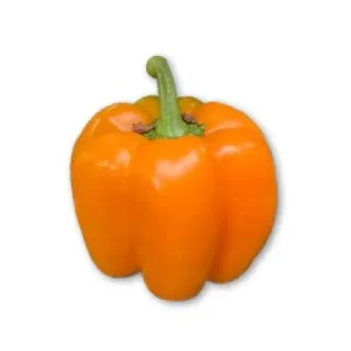 Compra PIMIENTO MENDEL F1 (1.000 Semillas) en la tienda online Fito Agrícola