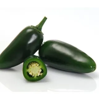 Compra PIMIENTO MOJAVE F1 (1.000 Semillas) en la tienda online Fito Agrícola