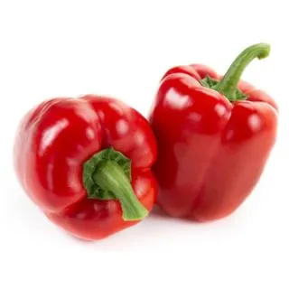 Compra PIMIENTO TRAVIATTA RZ F1 Precisión (1000 semillas). en la tienda online Fito Agrícola