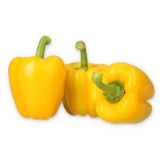 Compra PIMIENTO VERDIAL RZ F1 Precisión (1000 semillas). en la tienda online Fito Agrícola