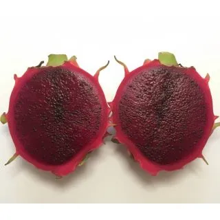 Compra PITAHAYA HIBRYDUM en la tienda online Fito Agrícola