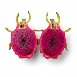 Compra PITAHAYA JC01 en la tienda online Fito Agrícola
