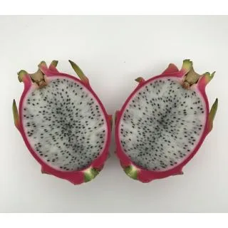Compra PITAHAYA UNDATUS en la tienda online Fito Agrícola